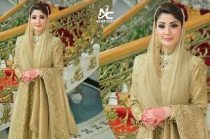 وزیراعلیٰ پنجاب مریم نواز ان دنوں اپنی سیاسی سرگرمیوں کے ساتھ ساتھ اپنے شاندار ملبوسات کی وجہ سے بھی خبروں میں ہیں،