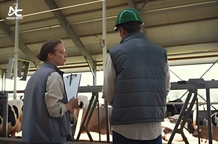 پاکستان میں لائیو اسٹاک کے شعبے کی بہتری کے لیے برازیلین ماہرین کی زیر نگرانی جدید آئی وی ایف تربیتی پروگرام کا آغاز ہوا،