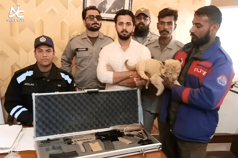 ٹک ٹاکر رجب بٹ کو عدالت نے سخت سزا سنا دی