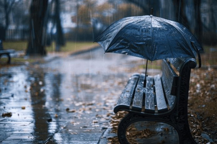 محکمہ موسمیات: نئے سال کے پہلے ہفتے میں بارشوں کی پیش گوئی