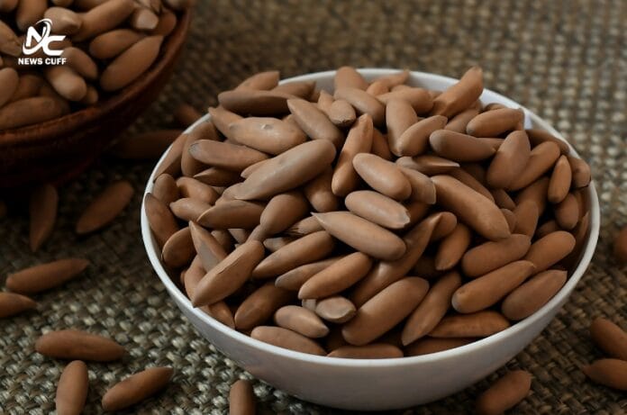 جنوبی وزیرستان میں چلغوزہ باغات نے معیشت، روزگار اور برآمدات کے ذریعے ترقی کی نئی راہیں ہموار کیں۔