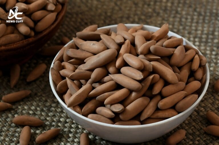 جنوبی وزیرستان میں چلغوزہ باغات نے معیشت، روزگار اور برآمدات کے ذریعے ترقی کی نئی راہیں ہموار کیں۔