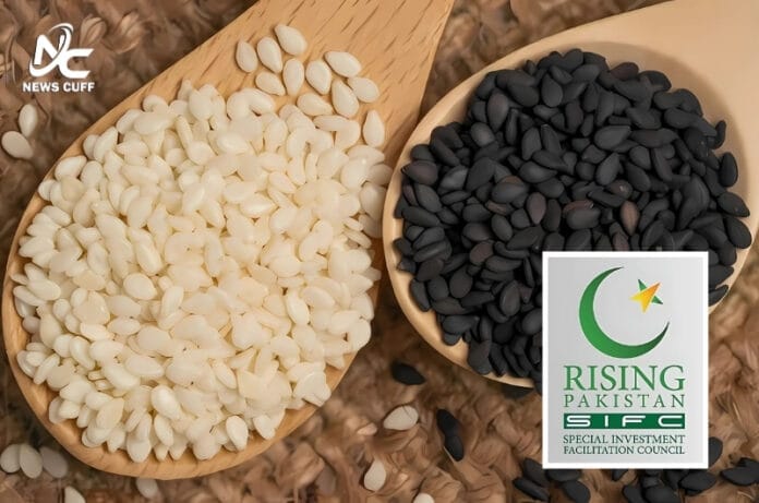 ایس آئی ایف سی کے تعاون سے پاکستانی تل کے بیجوں کی عالمی سطح پر تشہیر کی جا رہی ہے جس سے تل کی برآمدات میں 366 فیصد اضافہ ہو چکا ہے