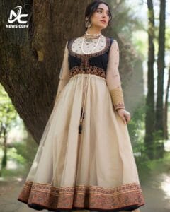 فراک اسٹائل عید ملبوسات – نیٹ اور جالی دار منفرد فیشن