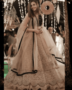 تقریبات کے لیے شاندار نیٹ فراک ڈیزائن