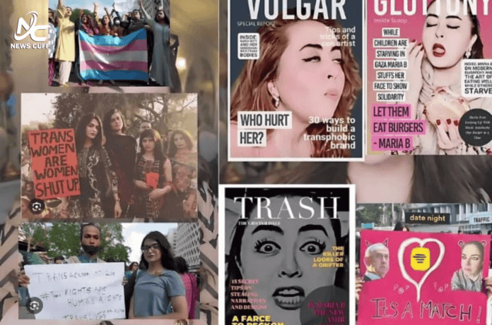 عورت مارچ میں ماریہ بی کے خلاف پلے کارڈز کی حقیقت