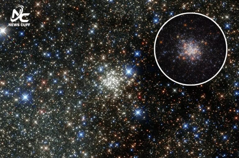 ماہرین فلکیات نے کائنات کے سب سے بڑے اسٹرکچر Quipu کو دریافت کیا، جو 1.3 ارب نوری سال تک پھیلا ہوا ہے اور ملکی وے سے 13 ہزار گنا بڑا ہے