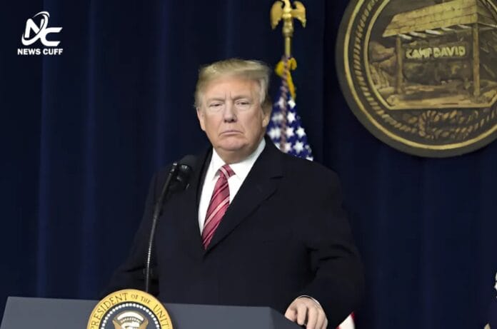 مریکی صدر نے توانائی کونسل قائم کرکے تیل و گیس کی پیداوار بڑھانے، ایل این جی برآمدات کی اجازت دینے، برکس کی نئی کرنسی پر ٹیرف عائد کرنے اور غزہ جنگ بندی پر سخت مؤقف اپنانے کا اعلان کیا۔