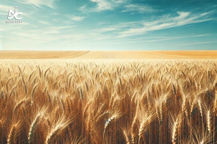 کسان اتحاد نے 4200 روپے من گندم دینے کا اعلان کرتے ہوئے حکومت کو خبردار کیا کہ اگر ریٹ نہ بڑھایا گیا تو عید کے بعد احتجاج ہوگا۔