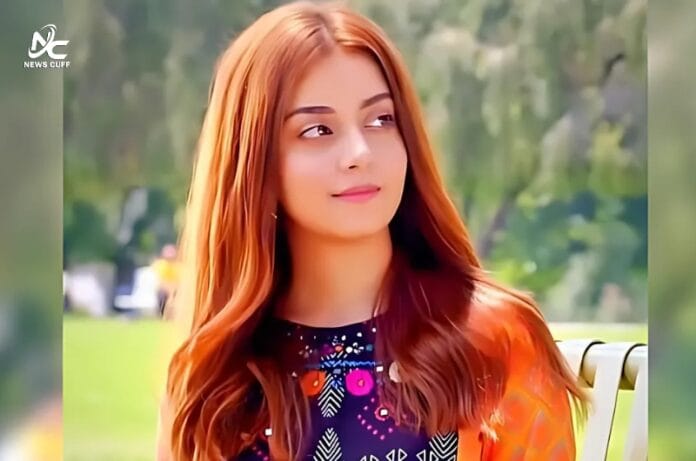 علیزے شاہ نے انسٹاگرام سے تمام پوسٹس ڈیلیٹ کردیں، آخری اسٹوری میں کیا کہا؟