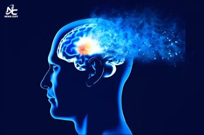 دماغ کے لیے تباہ کن غذائیں جو عمر کے ساتھ ذہنی صحت کو متاثر کرتی ہیں