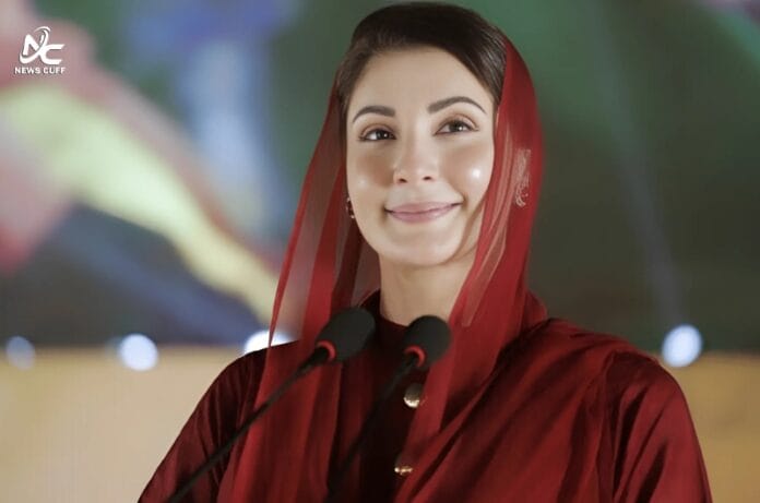 وزیراعلیٰ پنجاب مریم نواز کا گندم کے کاشتکاروں کیلئے خصوصی پیکج کا اعلان