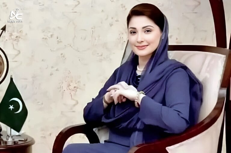پاکستان ایٹمی قوت ہے، دشمن حملہ کرنے سے پہلے 10 بار سوچےگا: وزیراعلیٰ پنجاب