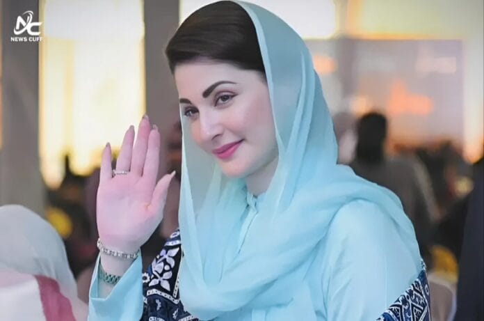 پنجاب میں نوجوانوں کے لیے ٹیلنٹ ہنٹ اور یوتھ انٹرن شپ پروگرام کا آغاز