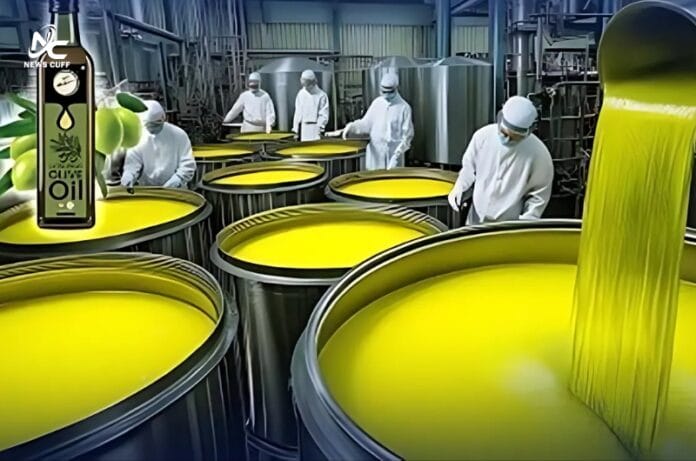 بلوچستان کے زیتون کے تیل نے امریکا میں ہونیوالے مقابلے میں تمغہ جیت لیا