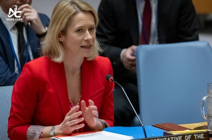 یورپی یونین کا پاک بھارت وزرائے خارجہ سے رابطہ، تحمل کا مظاہرہ کرنے پر زور