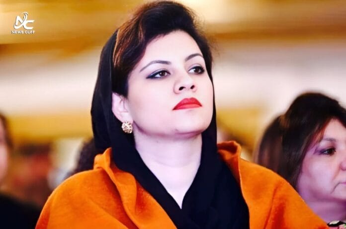 پی ٹی آئی کی آن لائن میٹنگ کے دوران کنول شوذب کی گفتگو کی ویڈیو لیک