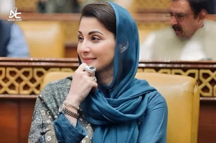 جو 9 مئی کو ہوا اور جو بھارت نے کیا اس میں زیادہ فرق نہیں، مریم نواز