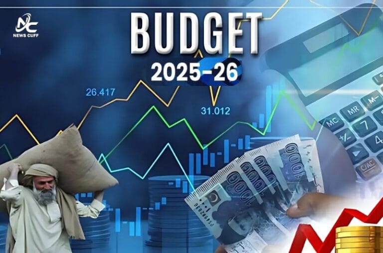 پاکستان میں نئے مالی سال کا بجٹ 2 جون کو پیش ہو گا