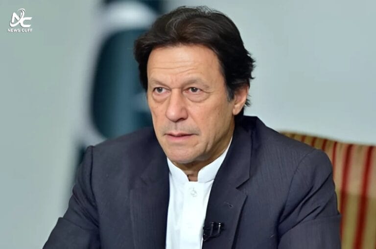 امریکی ڈاکٹرز اور تاجر عمران خان سے ملاقات میں ناکام
