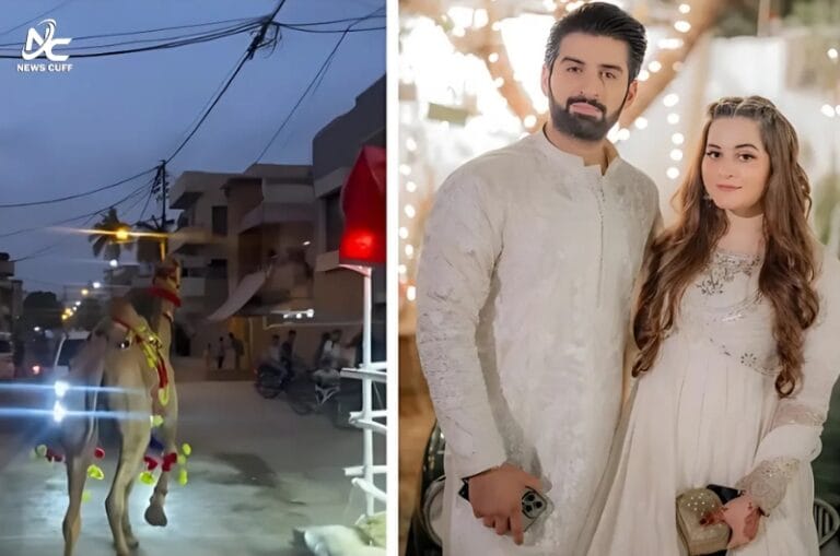 اداکار منیب بٹ کا اونٹ بھاگ گیا، ویڈیو سوشل میڈیا پر وائرل ہوگئی