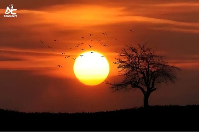 لاہور میں 18 سال بعد گرم ترین دن، درجہ حرارت 46 ڈگری تک پہنچ گیا