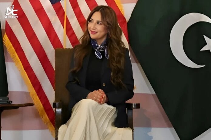 وزیراعظم شہباز شریف اور فیلڈ مارشل عاصم منیر کی قیادت قابل تحسین قرار، نیٹلی بیکر کا اظہارِ خیال