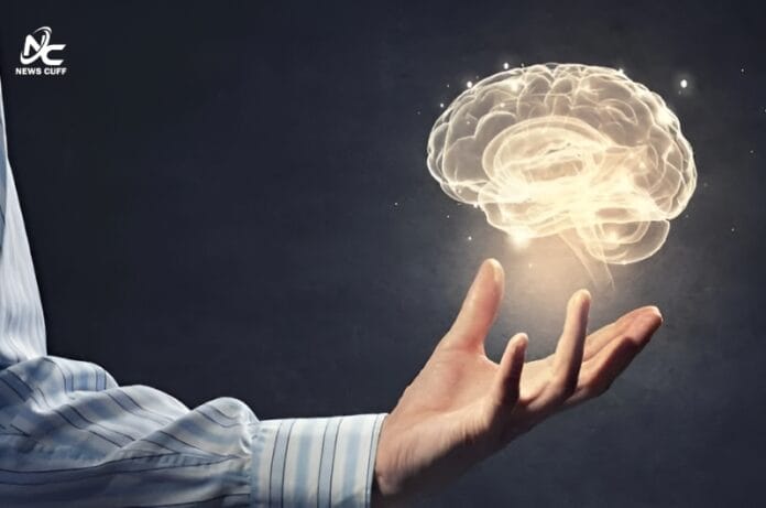 ایسی آسان عادات جو دماغ کو ہمیشہ جوان رکھنے میں مدد فراہم کرتی ہیں