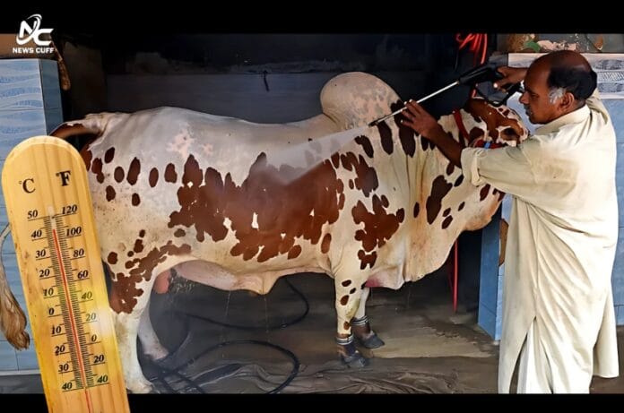 عیدالاضحیٰ کے دوران موسم کیسا رہے گا؟