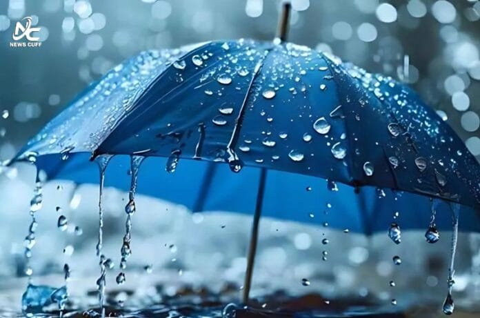 سندھ میں مون سون ہوائیں داخل، کل سے بارشوں کا نیا سلسلہ شروع ہونے کا امکان