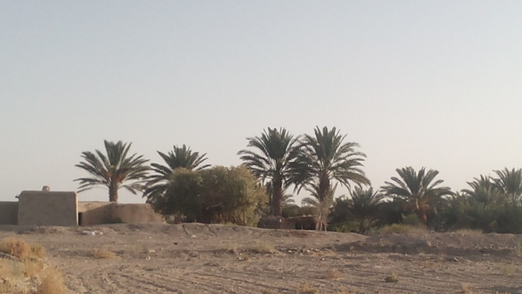 Arid land and date palms in Kharan Tehsil, Balochistan, the district Commissioner Asad Ullah Kakar was travelling to when he was abducted