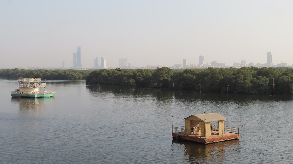 Mangrove forest along the Karachi coast with the city skyline in the distance across the water